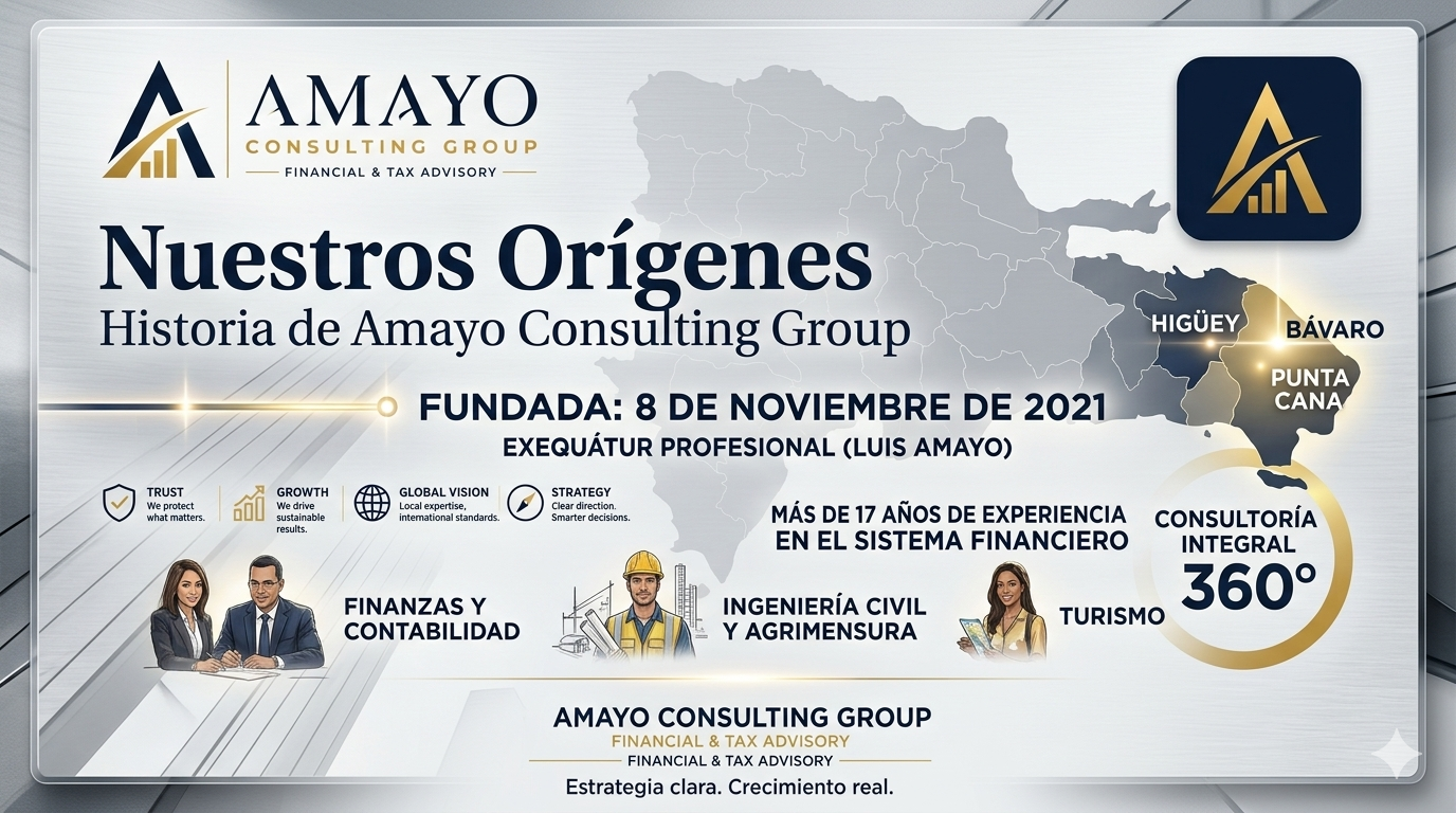Nosotros, quienes somos, nuestros orígenes, Amayo Consulting Group